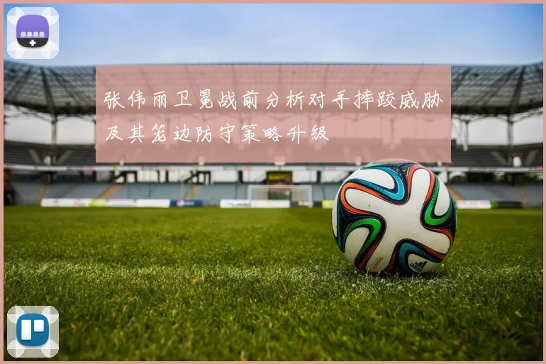 张伟丽卫冕战前分析对手摔跤威胁及其笼边防守策略升级